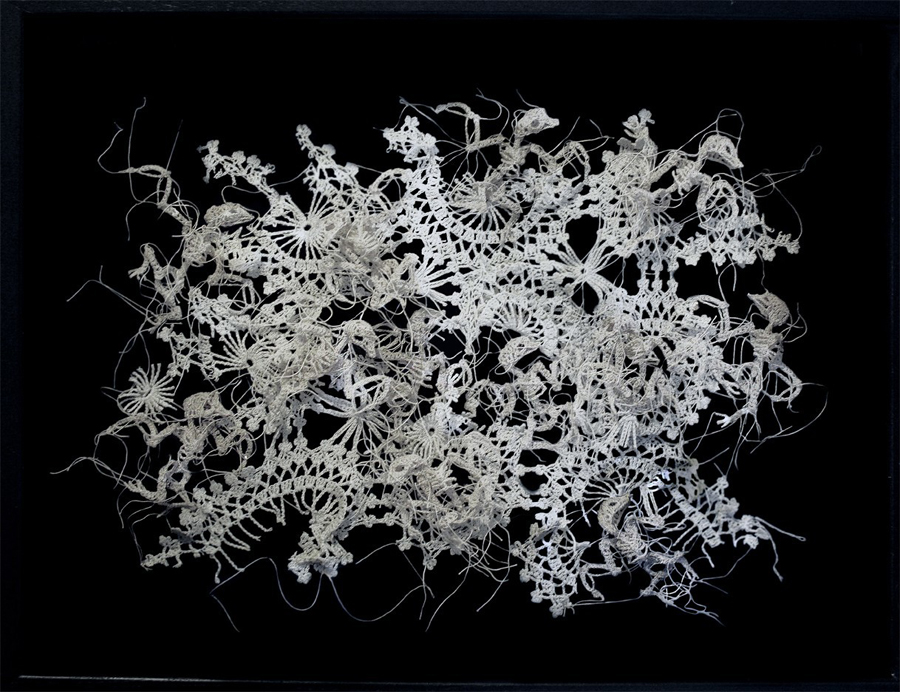 Crochet Animal Skeletons Caitlin T. Mccormack