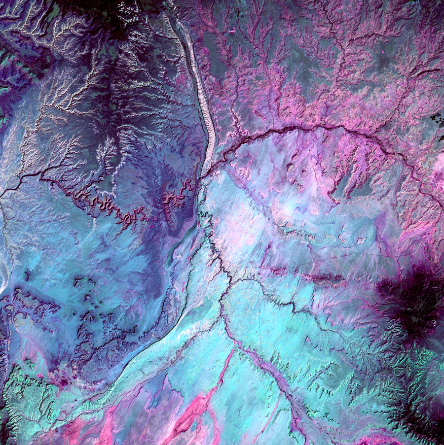 The U.S. Geological Survey