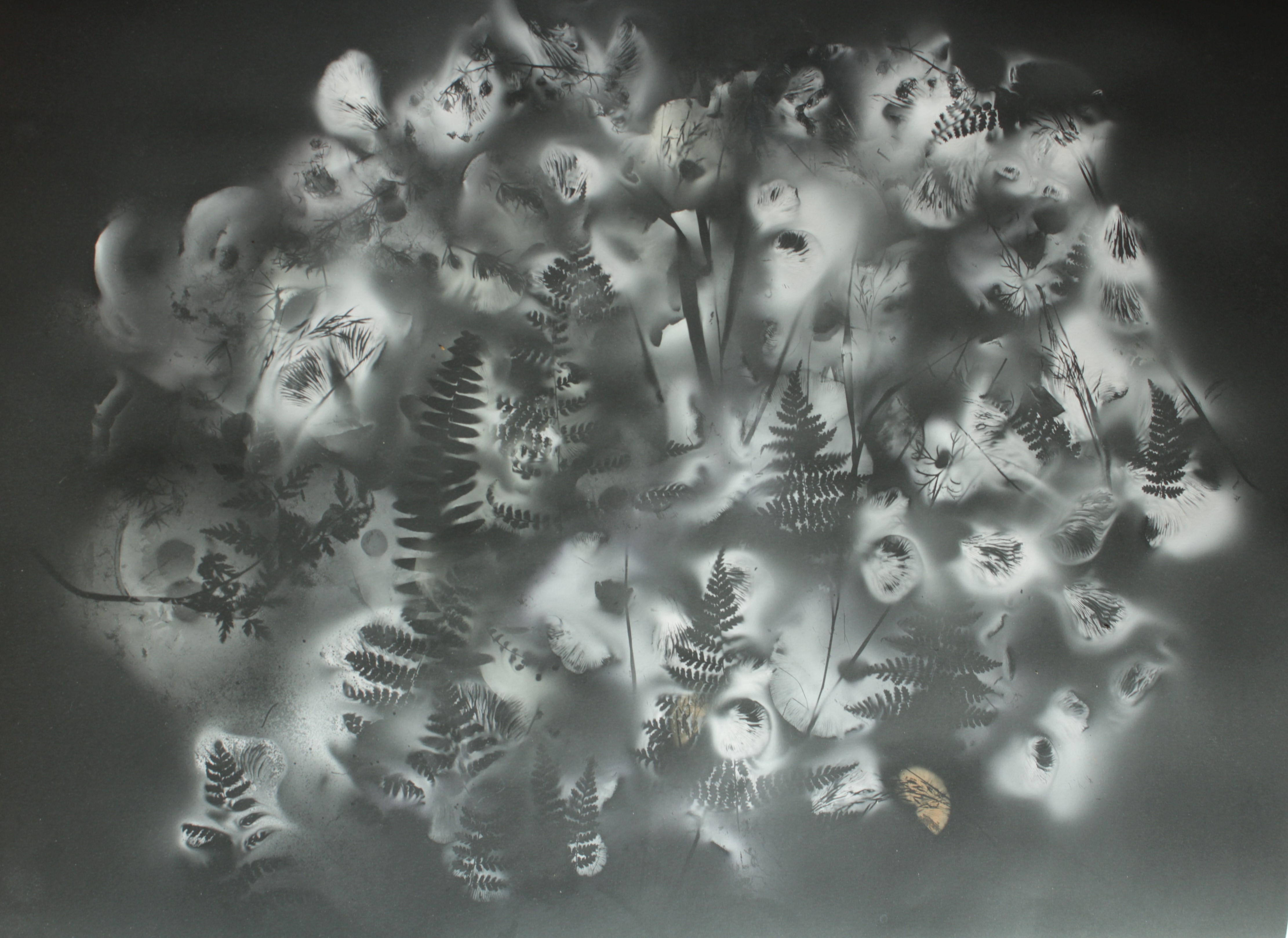 spore print art