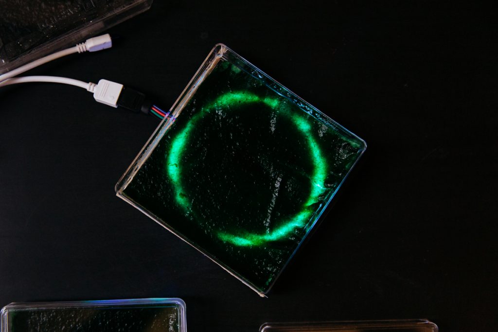 A glowing circle of green algae in a glass panel