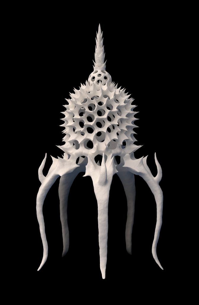 3D image of alacorys bismarckii
