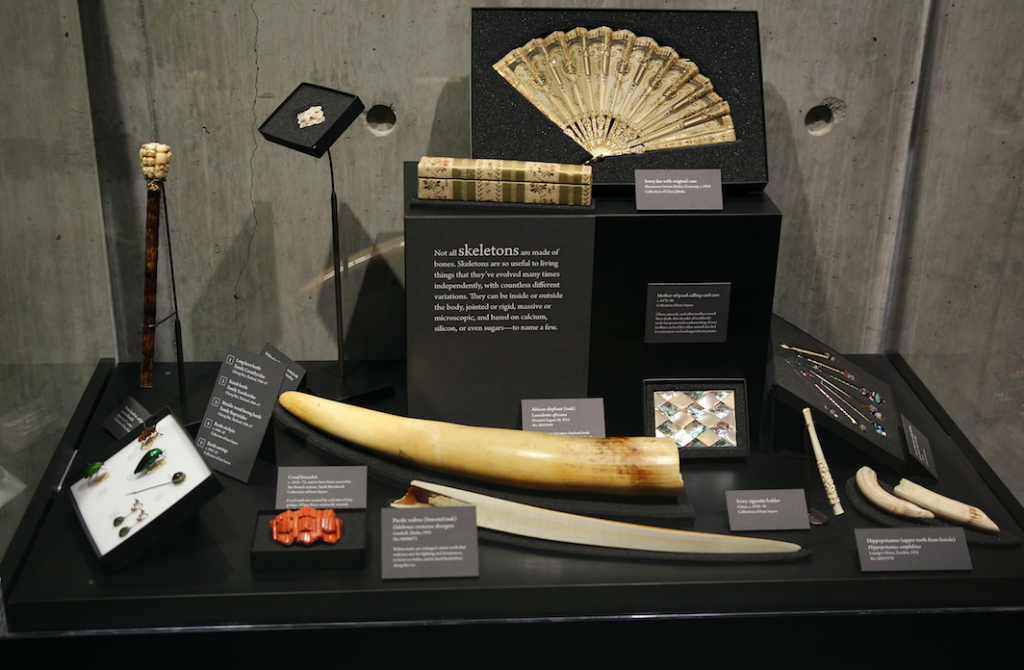 Accessories from the clothing collections of Claus Jahnke & Ivan Sayers, on view in Skin & Bones.