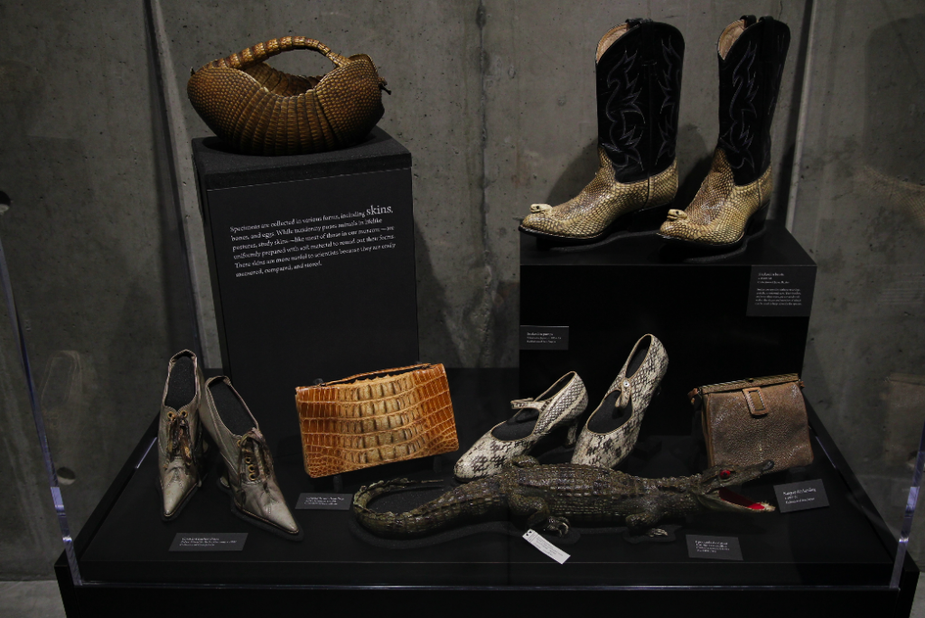 Accessories from the clothing collections of Claus Jahnke & Ivan Sayers, on view in Skin & Bones. 