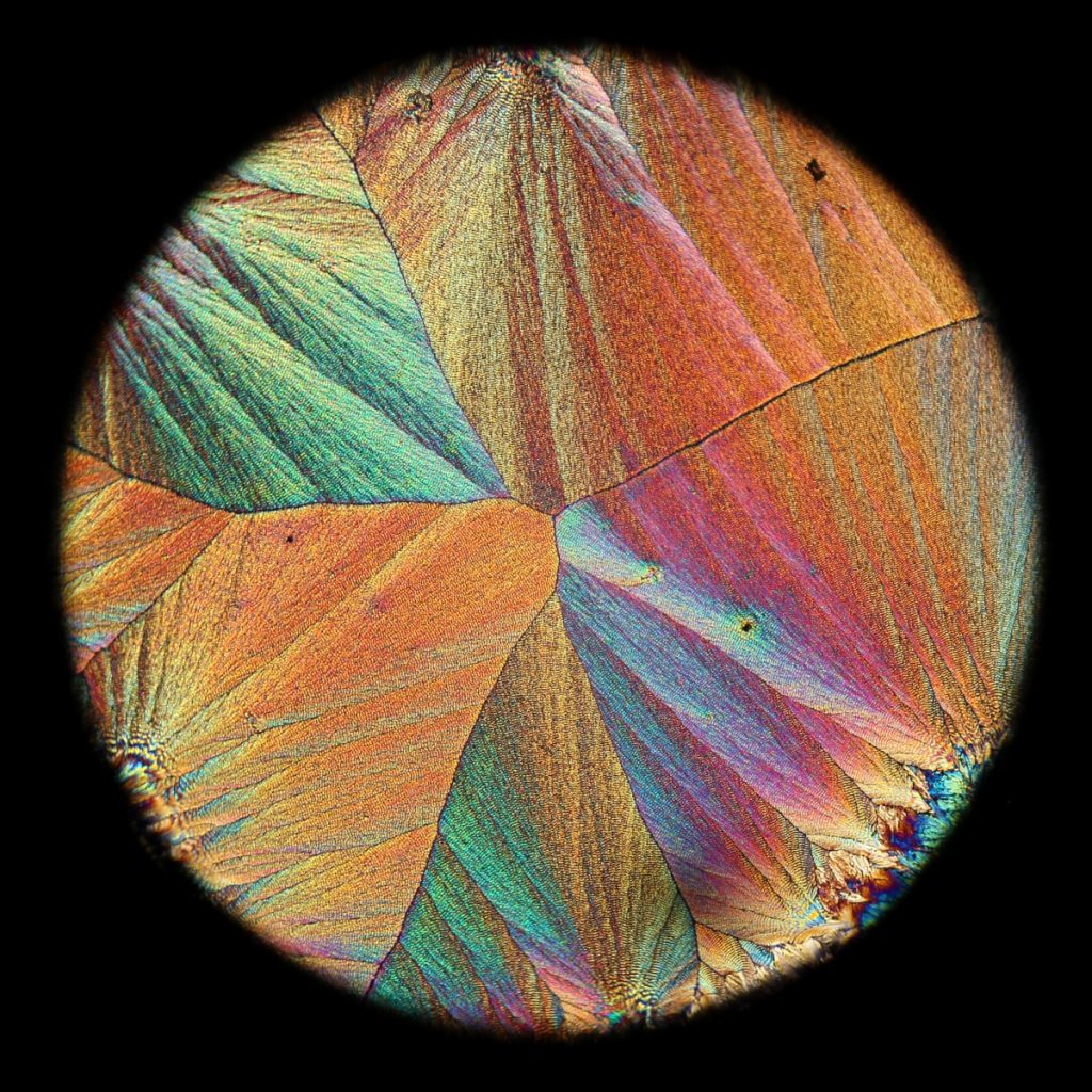 Ascorbic Acid by Joseph Carr, polarized light micrograph