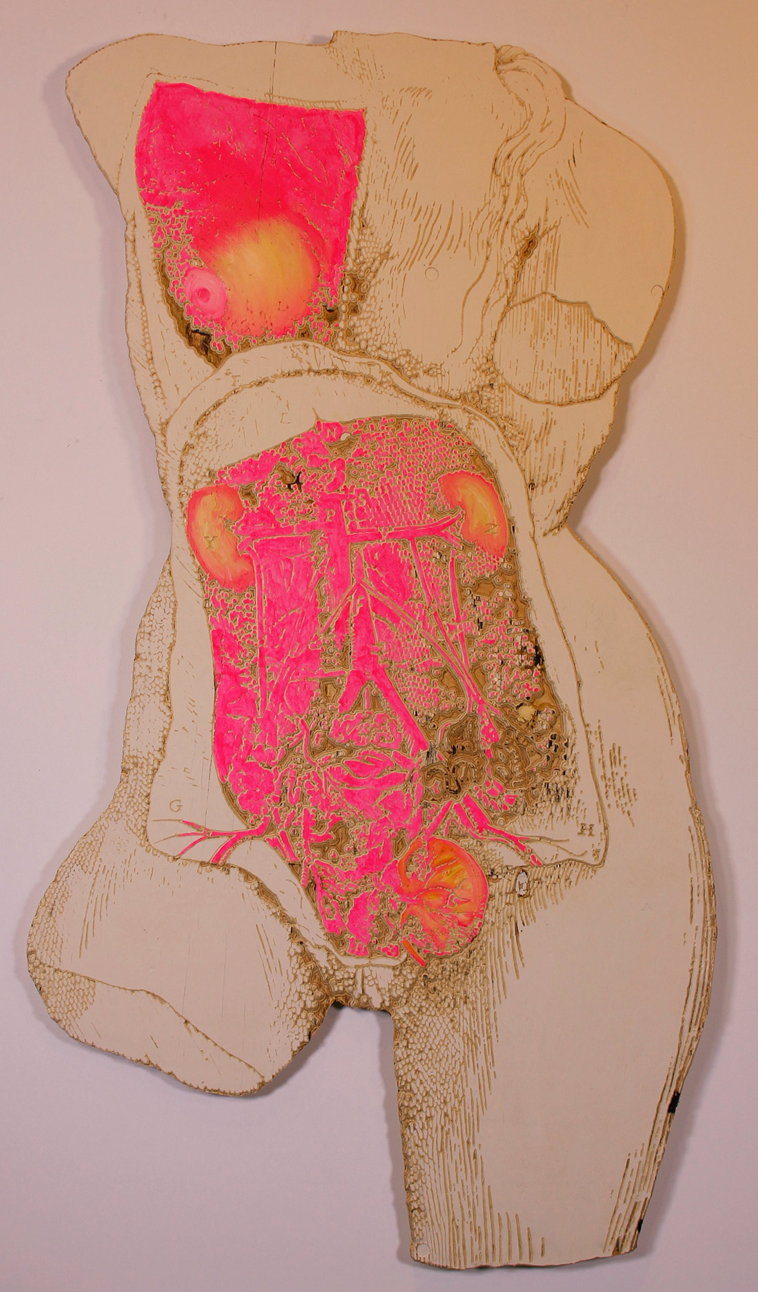 Image of a human body by Marnie Blair