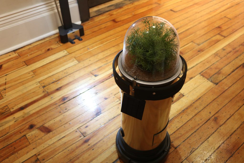 A robot vacuum with a plant on top under a glass container