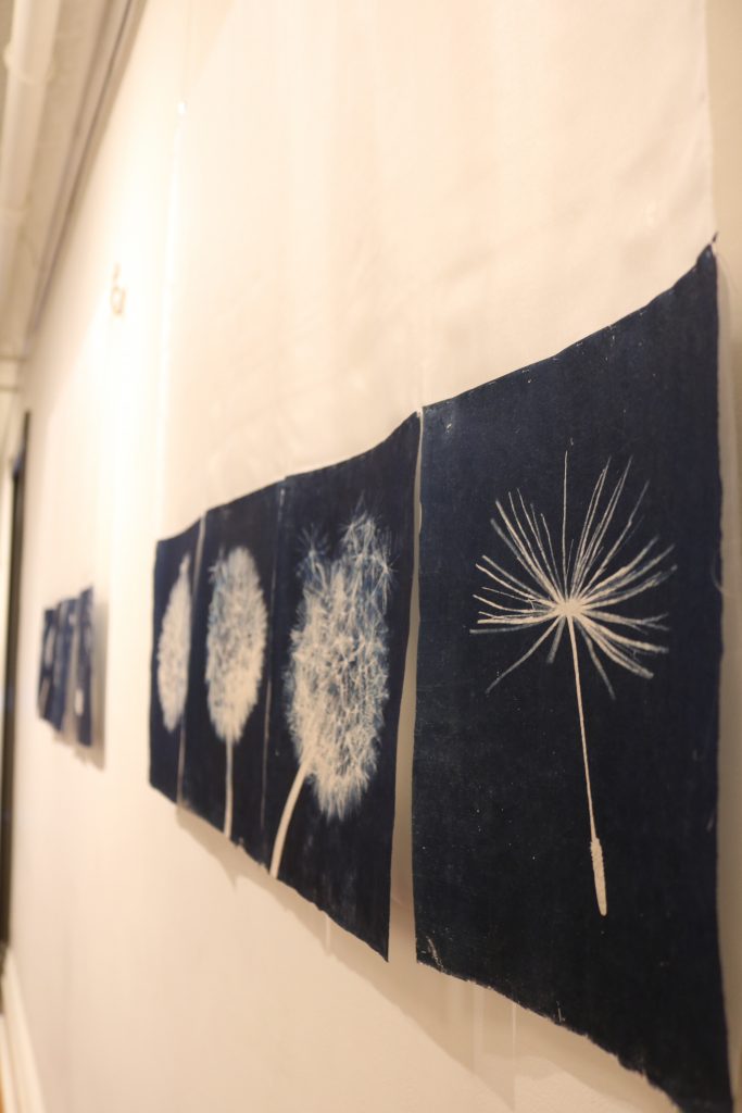 A piece with various illustrations of the seed head of a dandelion plant