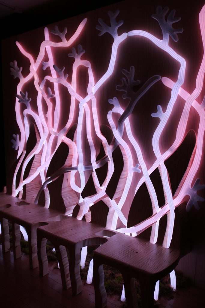 A bench connected to lights resembling fungal networks