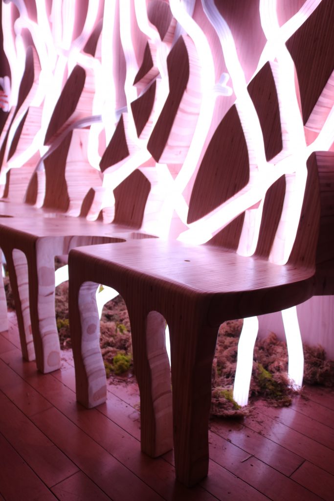 Close up of a bench connected to lights, with some plants underneath