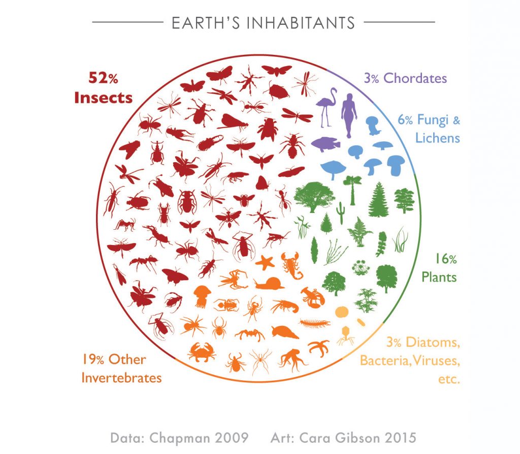 Infographic of the earth's inhabitants. Insects take up more than half the chart