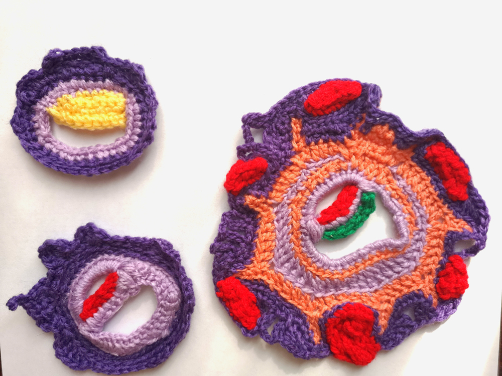 Crocheted Embryology Model Sciart by Tahani Baakdhah
