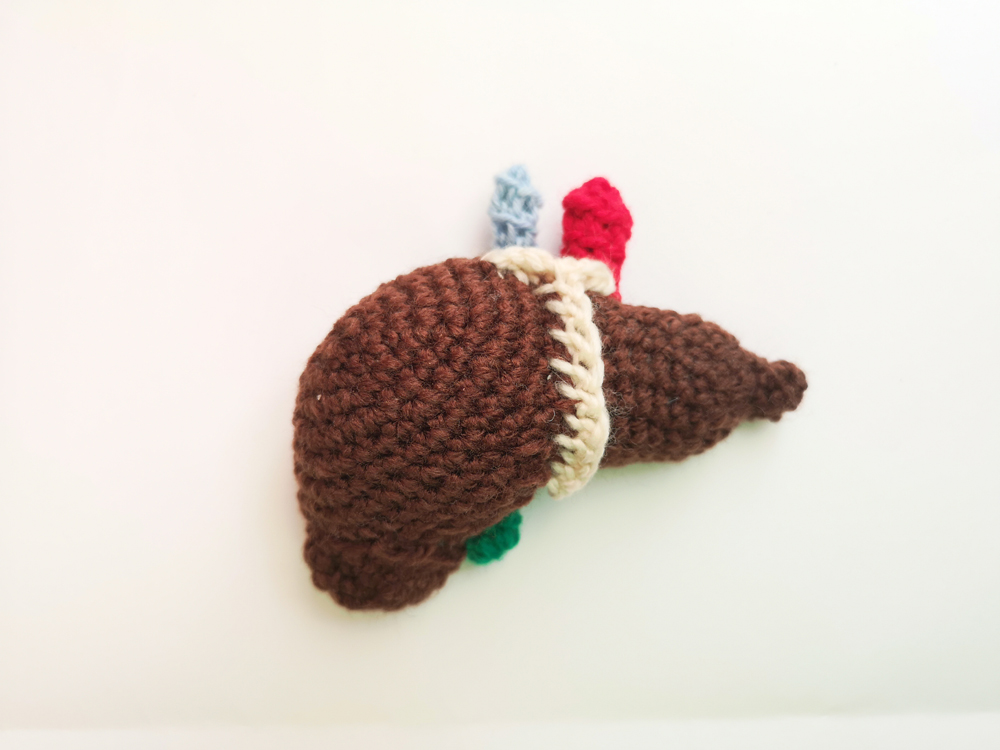 Crocheted Liver SciArt by Tahani Baakdhah