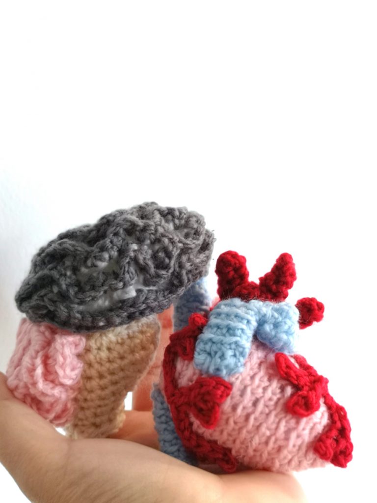 Crocheted heart and brain sciart by Tahani Baakdhah