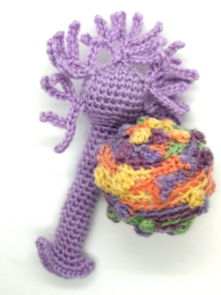 Crocheted Stem Cell and Neuron SciArt by Tahani Baakdhah