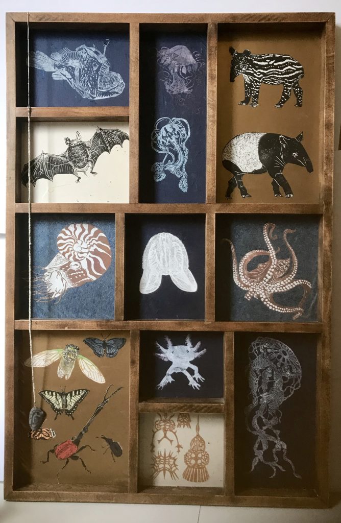Wood box containing different animal prints