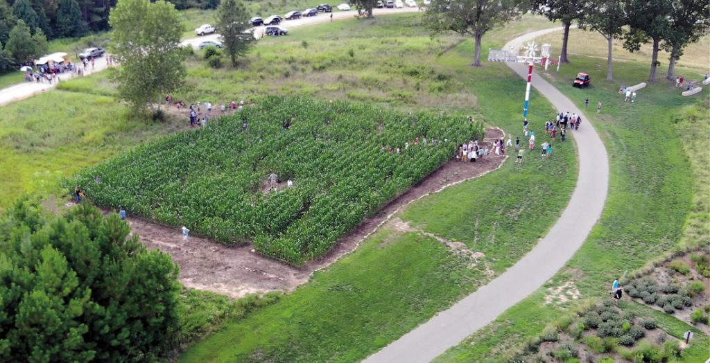A massive corn maze in a green field, full of visitors