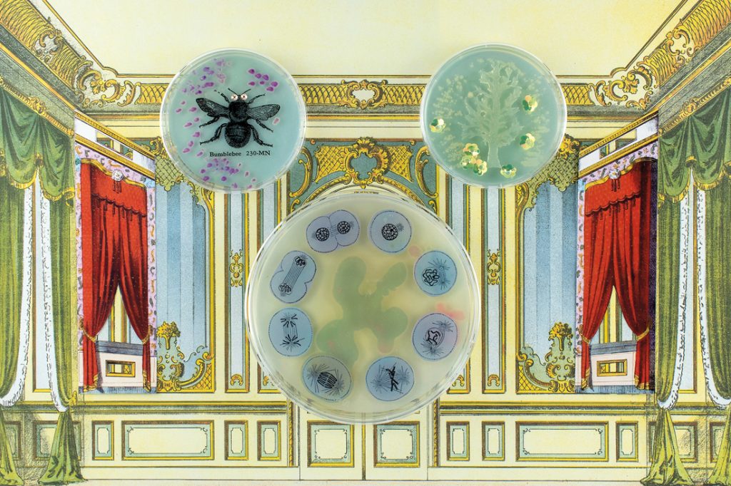 a collage baroque theatre, featuring GMO bacteria