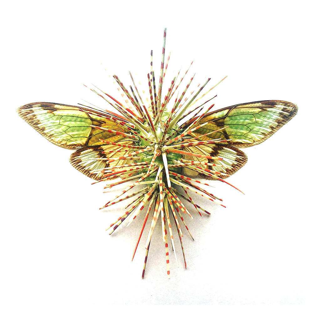 green spiky bug, sciart