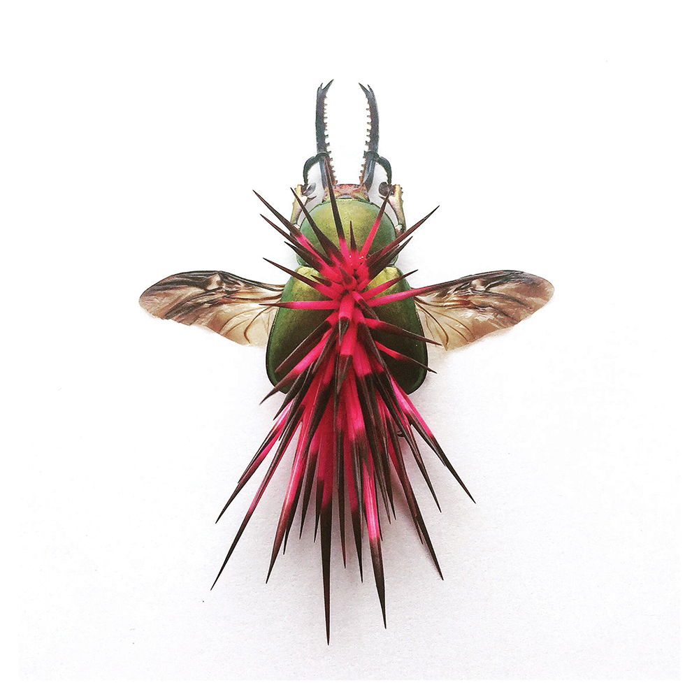 pink and green spiky bug, art