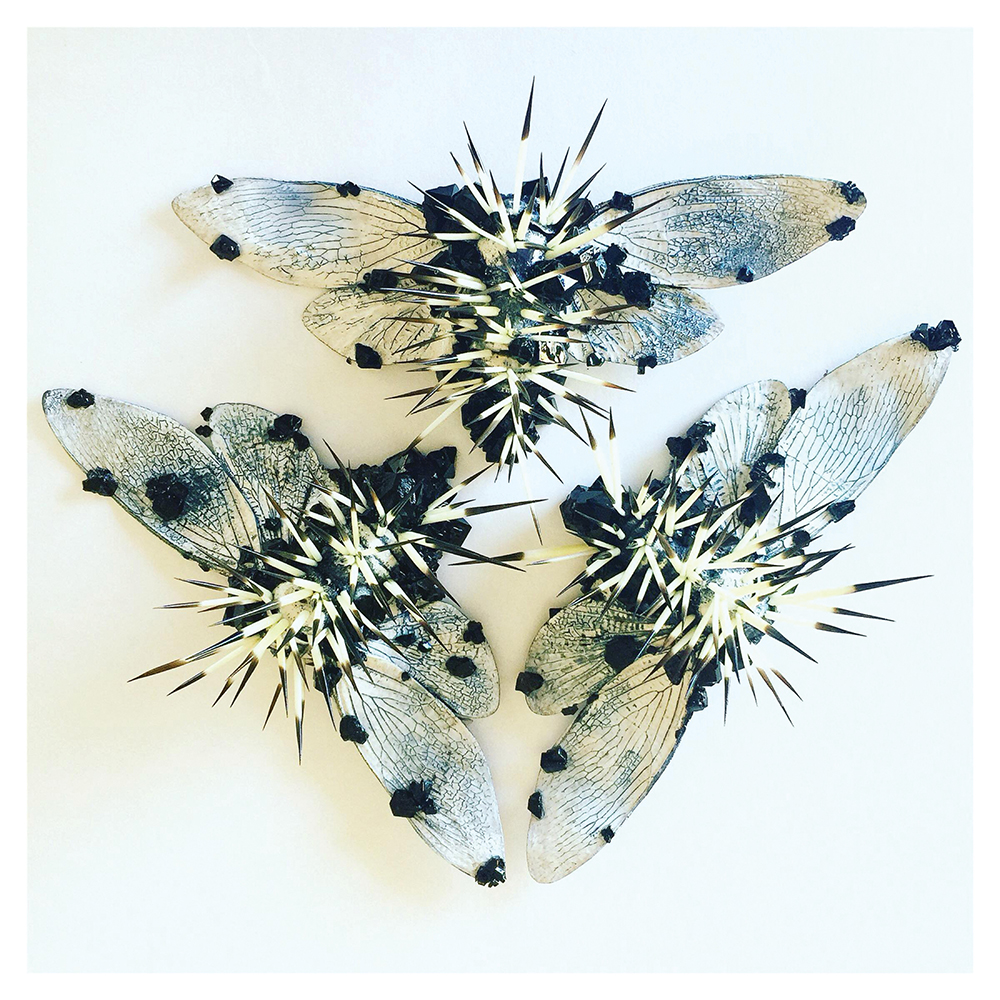 black and white insects, artwork