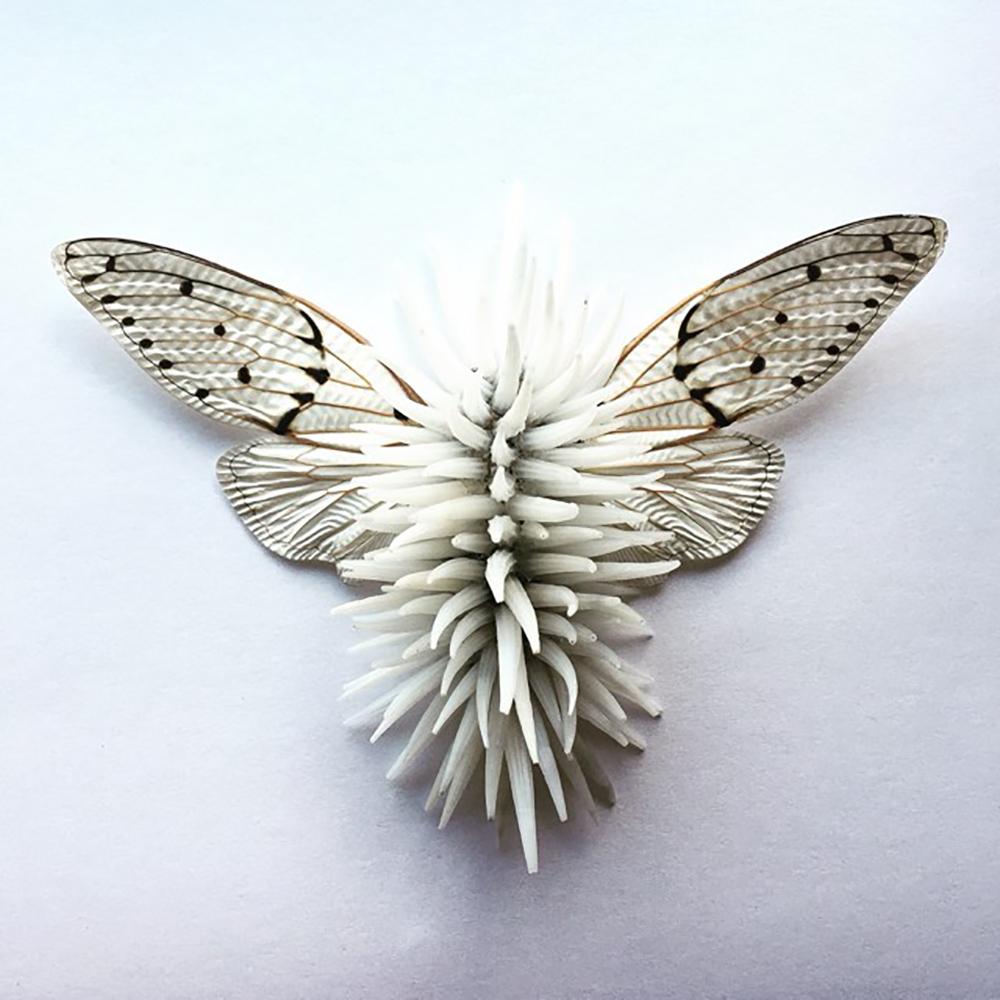 a white insect, artwork