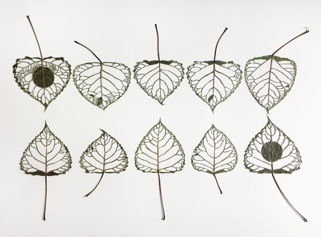  leaf art