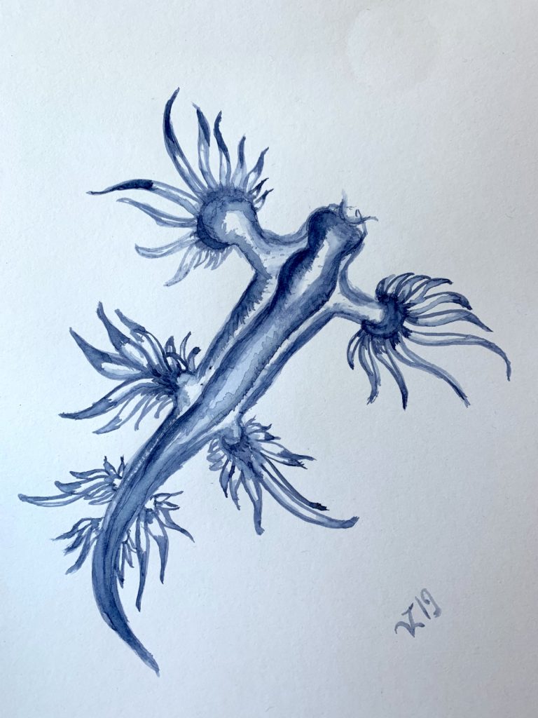 Blue painting of a sea slug (Glaucus atlanticus) that has feathery appendages shooting off from its sides.