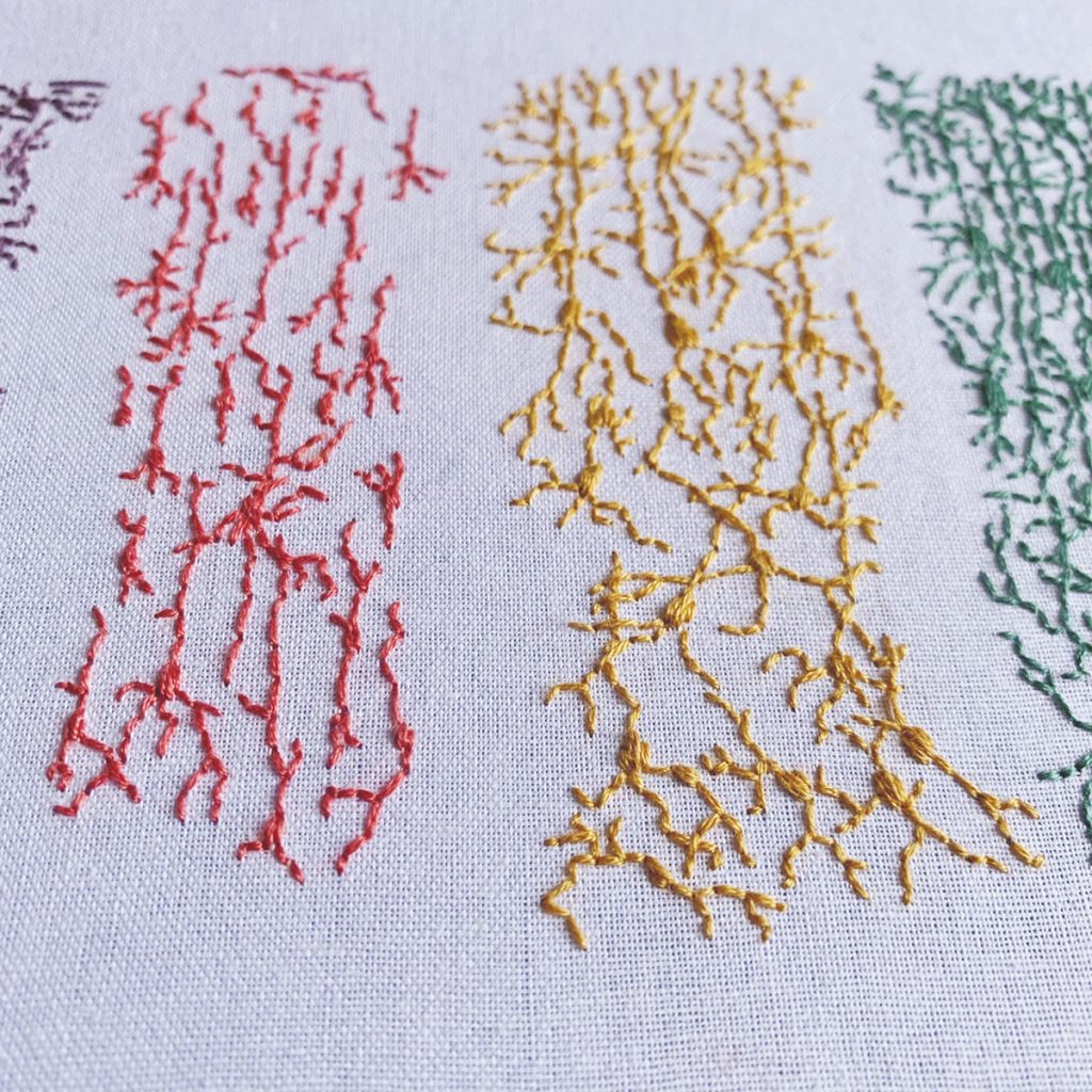Vertical strips of neurons that are different colors and at different stages of development going from left to right. 