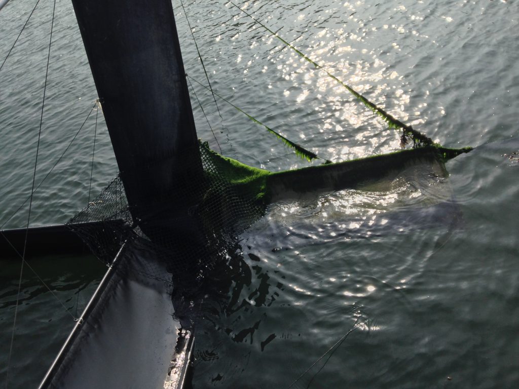 A piece of installation art. A large column with nets partially submerged underwater. 