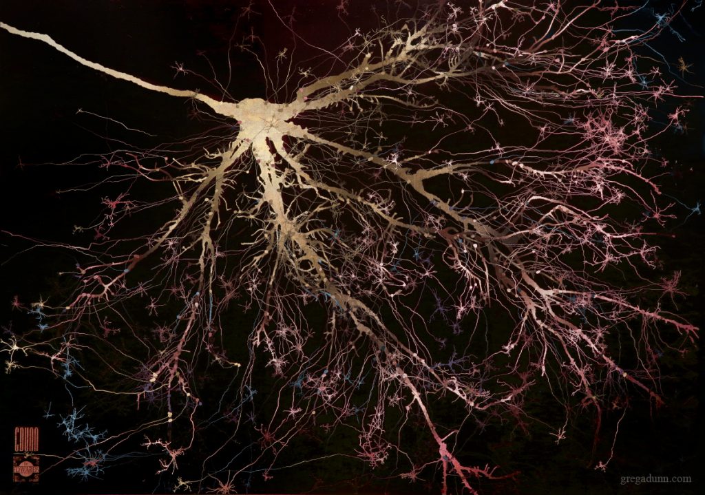 A neuron that looks like a branching tree on its side. The neuron itself is golden, branching out to purple, pink, and blue tips.