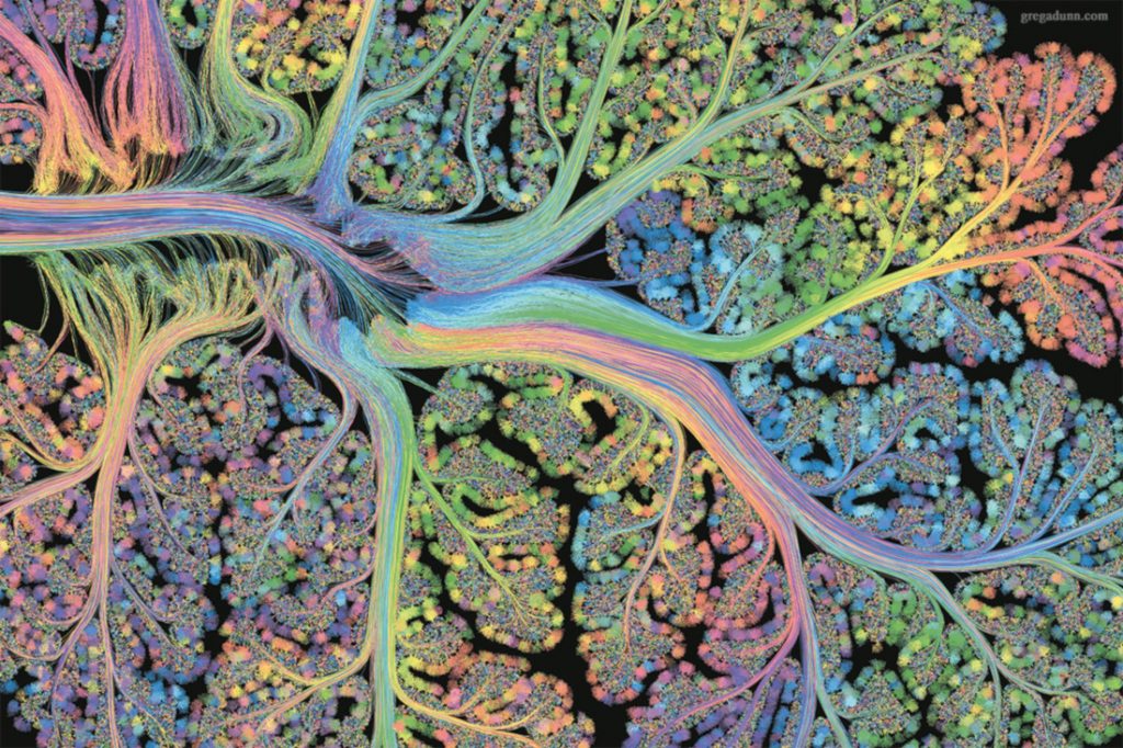 Rainbow depiction of the cerebellum, which looks like a sliced head of cauliflower. 