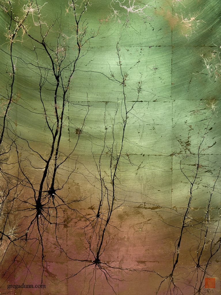 Thin, dark neurons that look like trees without leaves and visible roots. The "roots" sit in a light red-pink color that fades into a yellow-green towards the top of the "trees." 