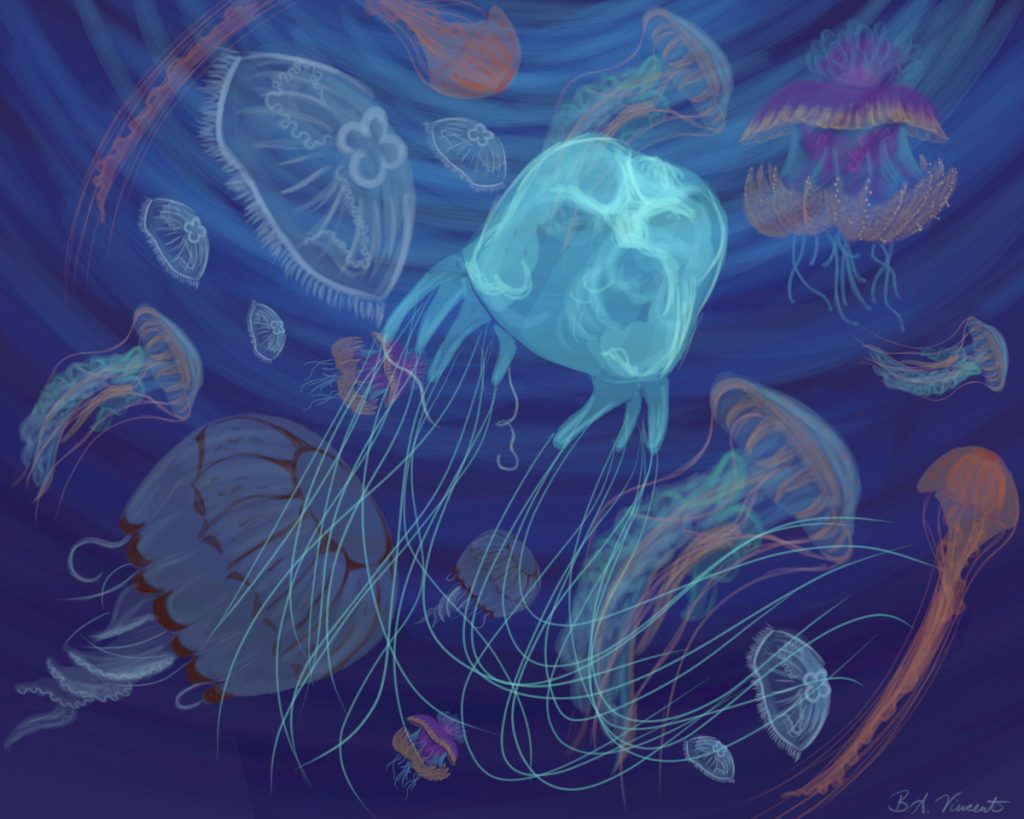 An underwater painting of multiple types of jellyfish.