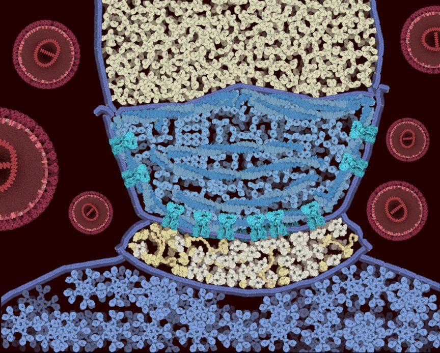 Image of person wearing mask made of cell structures
