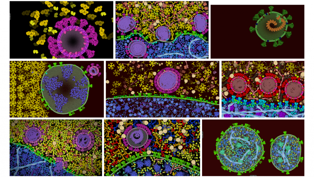 Selected entries in the science category depicting the coronavirus
