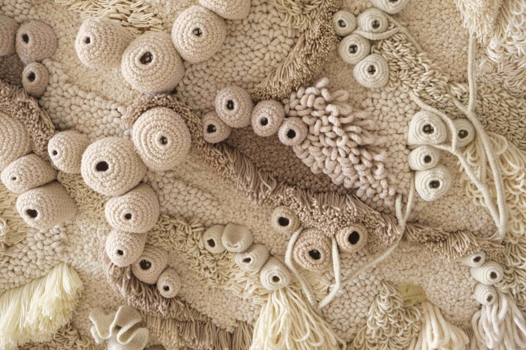 Close-up image of various bleached corals. 