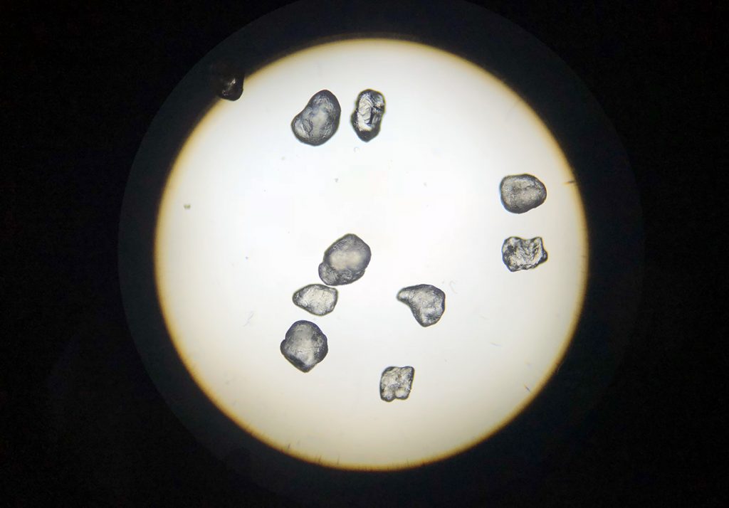 Microscope view of sand grains