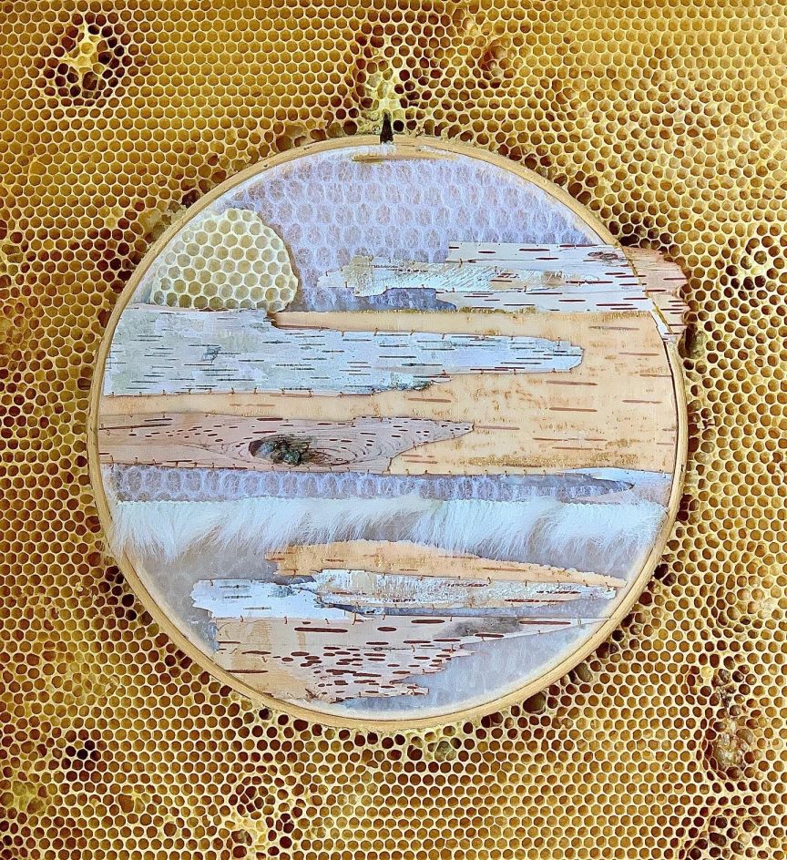 Embroidery hoop containing different barks and fur embedded into honeycomb