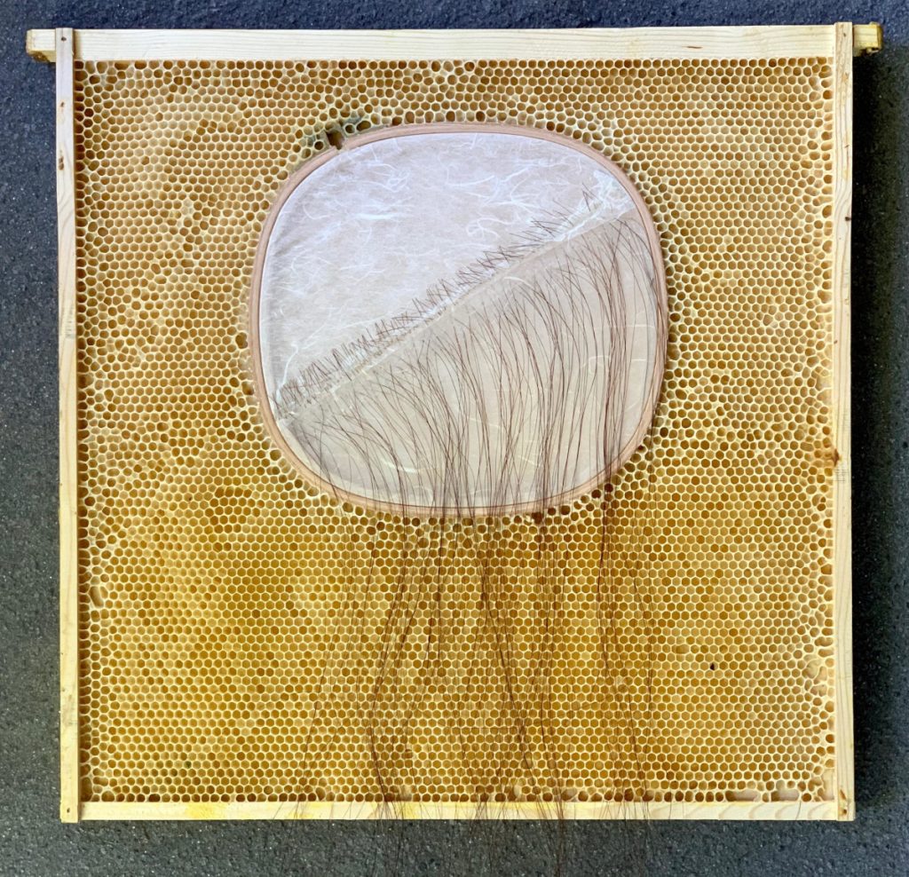 Rounded embroidery hoop with tissue paper and long, cascading horsehair. Embroidery hoop is embedded in honeycomb. 