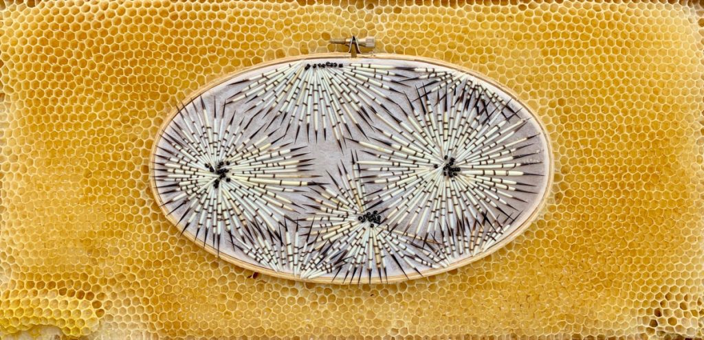Porcupine quills laid out in starburst/flower patterns on an ovular embroidery hoop. The hoop is embedded in honeycomb. 