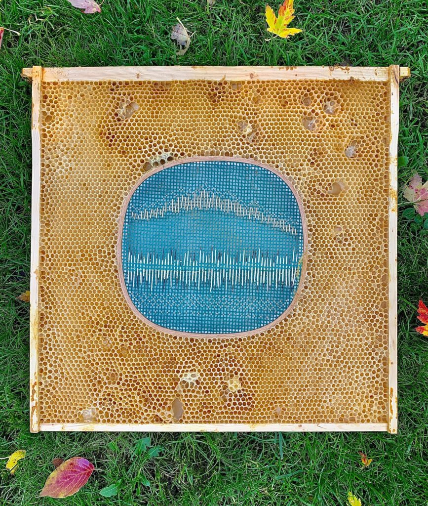 Rounded embroidery hoop with two stripes of porcupine quills on a turquoise surface. The hoop is embedded in honeycomb. 