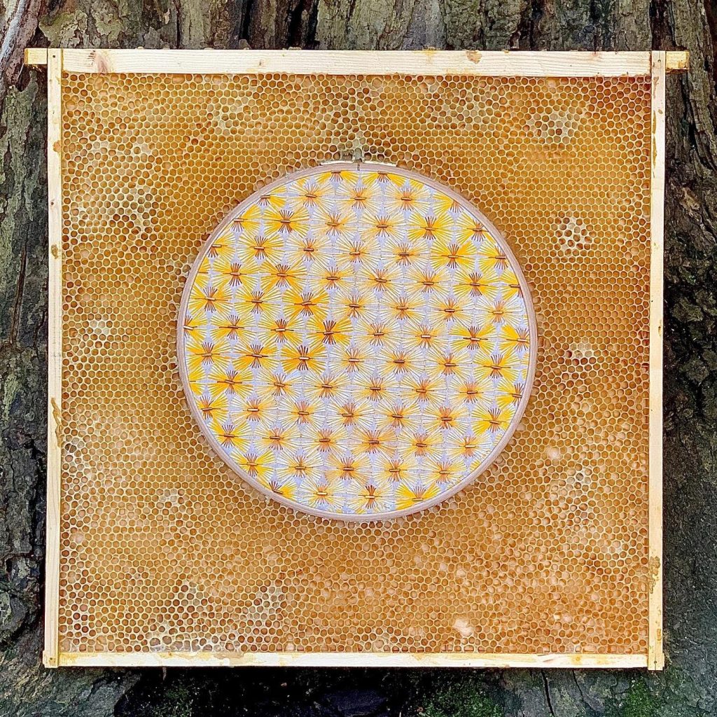 Yellow starburst pattern embroidered onto circular embroidery hoop. Hoop is embedded in honeycomb. 