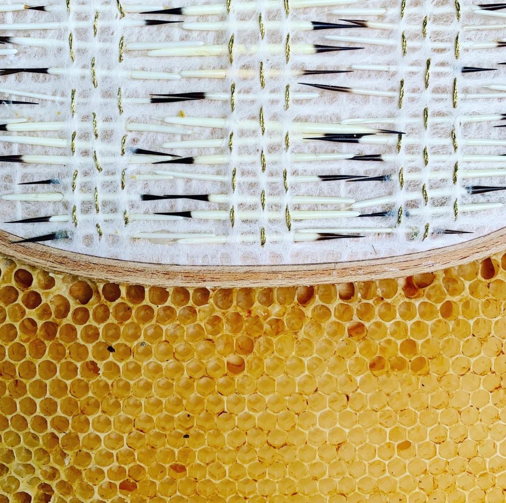 Rounded embroidery hoop with woven stripes of porcupine quills. The hoop is embedded in honeycomb. 