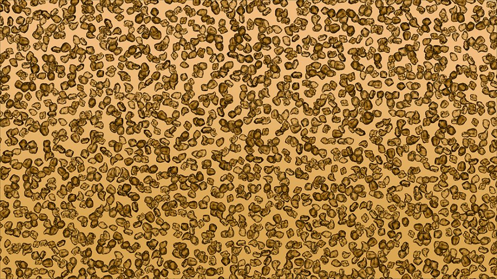 Zoomed in image of digital sand grains