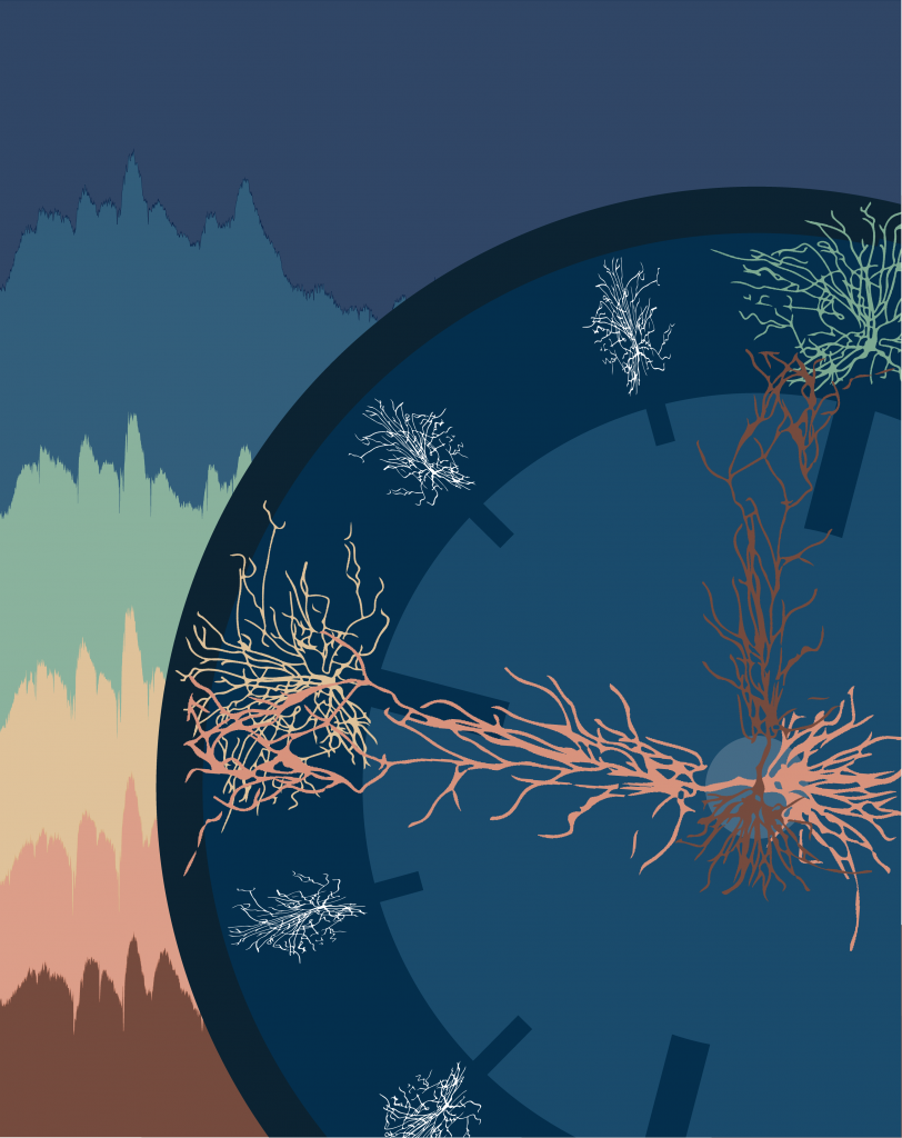 Clock face with branching neurons representing the numbers and hands on the clock. In the background are colored waves representing electrical spikes from neurons. 