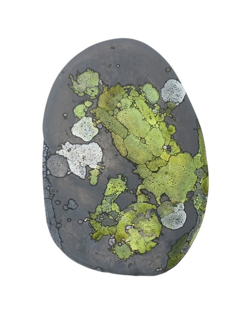 Rounded rock with patches of green and white lichen