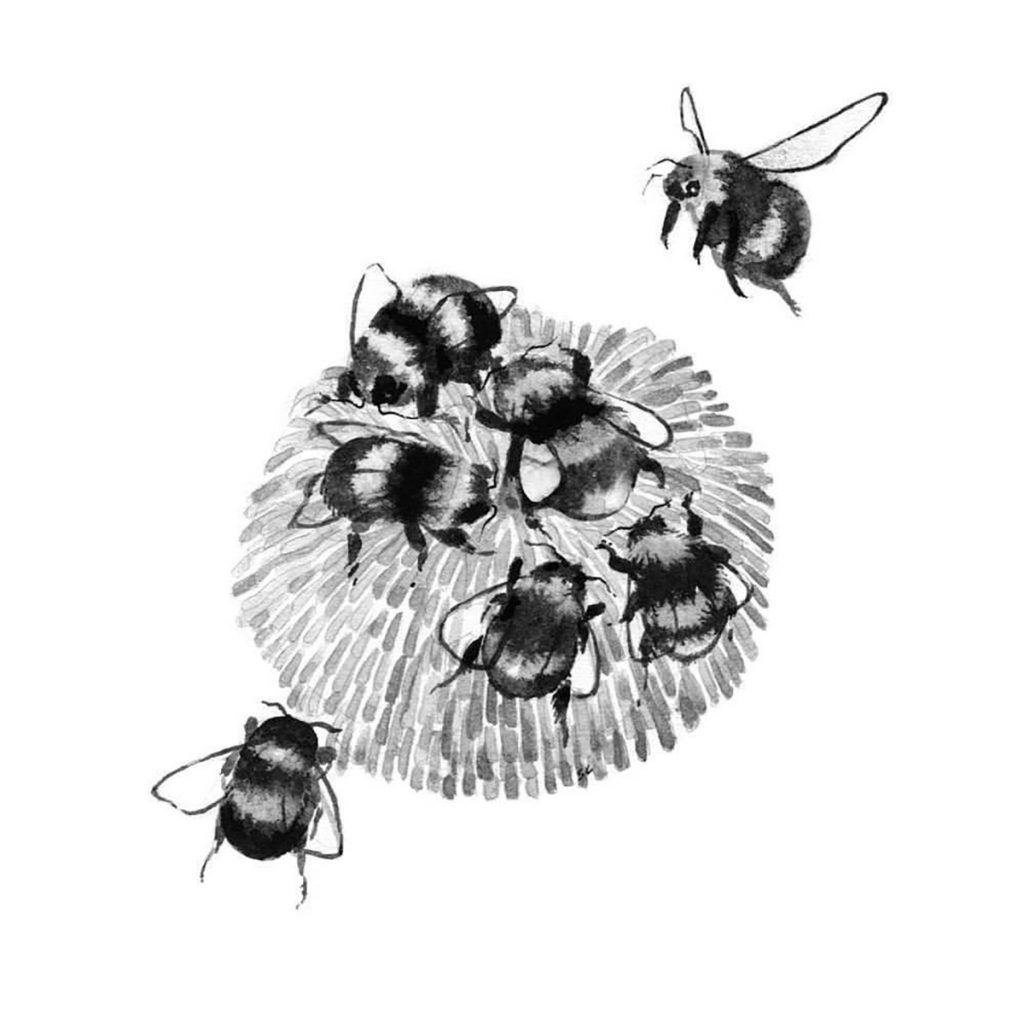 Bees (2017) by Sarah Crawley. A group of bees shown around a flower. 