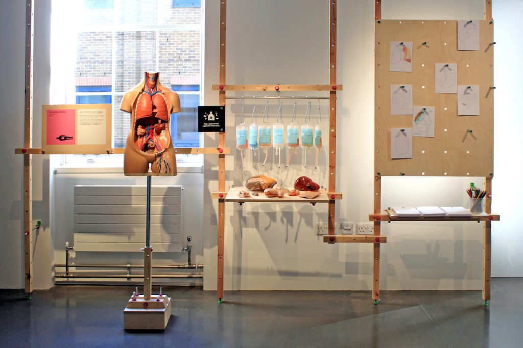 A gallery display of The Self-Donor Workshop with a model of a human torso with the organs showing, artificial organs and colorful IV bags on a table, and drawings of organs on display. 