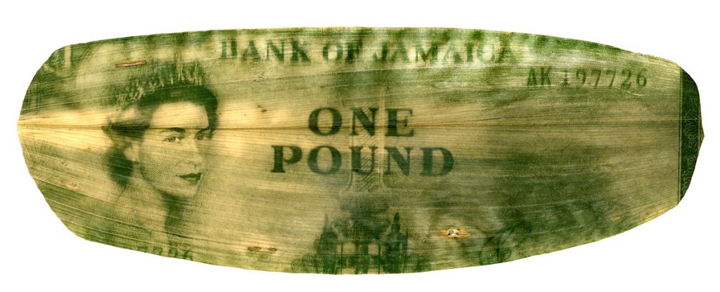 A green and yellow image of Jamaican currency with Queen Elizabeth's bust printed on a large leaf.