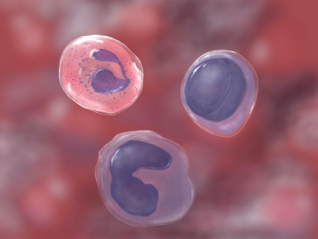 Digital Immunology Illustration on white blood cells. 